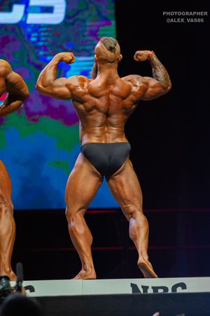 BODYBUILDING 102